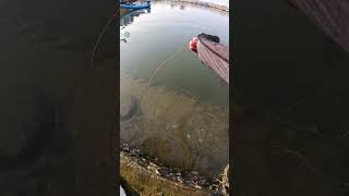 Tips dan trik mancing #smartidea #skills #viraltechnique #traditionalway #trending