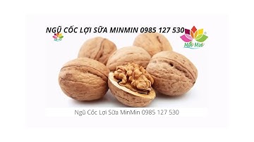 Tác Dụng Của Ngũ Cốc Lợi Sữa Min Min - Ths.BS Lê Thị Hải