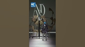 Humanoid robot makes runway debut at Shanghai Fashion Week