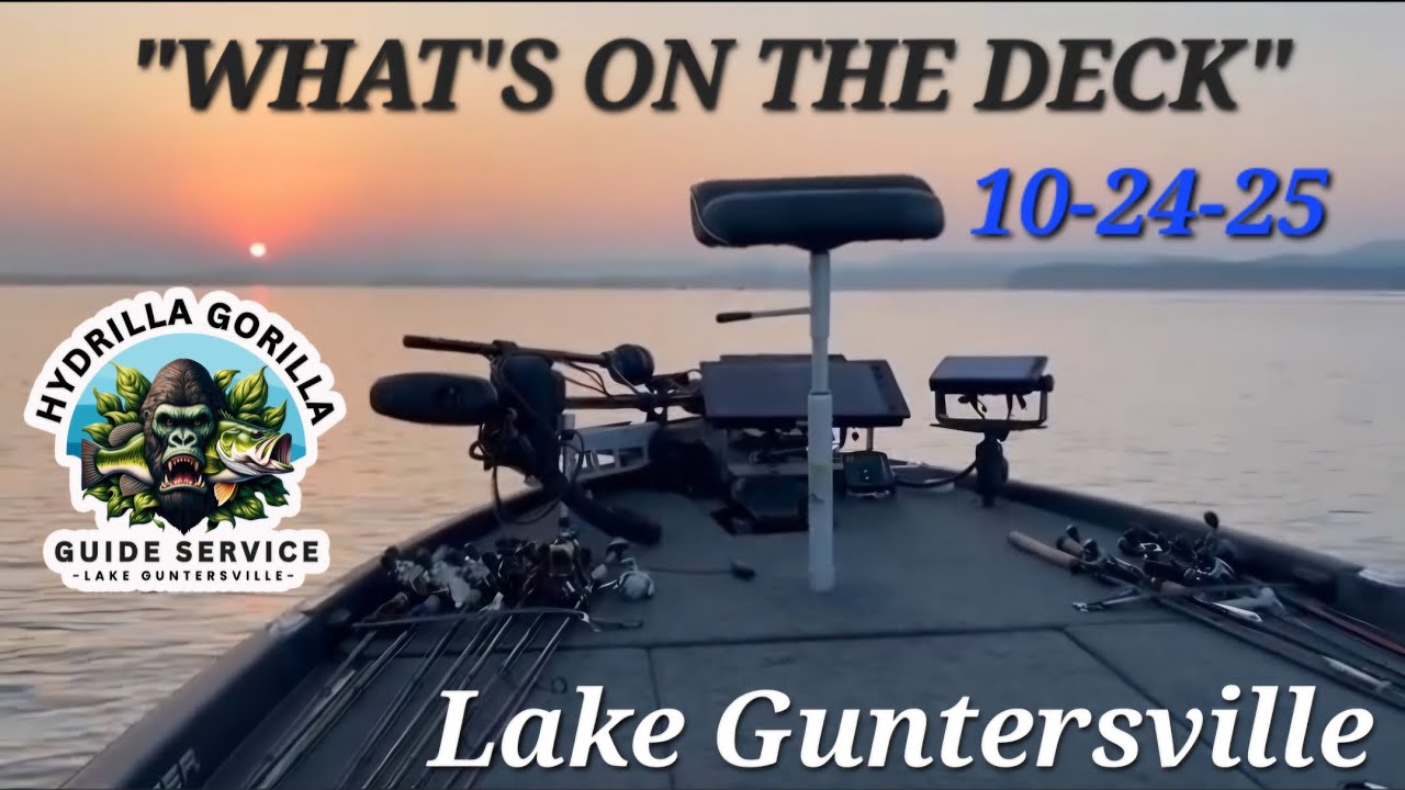 24.10.25 «ЧТО НА ПАЛУБЕ» Отчёт о рыбалке на озере Гантерсвилл / Гидрилла Горилла Гидрилла Гидрилла