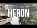 CHAPULTEPEC POND — Green Heron on a Boat [No Loop] 5 MIN | Quiet Reset