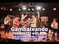 Gambateando/DIAMANTES with 鼓動