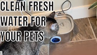 RELLATY CAT WATER FOUNTAIN REVIEW  Tips and Tricks For Your Pet Fountain