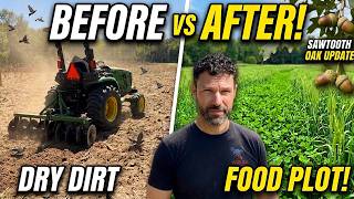 Planting Fall Food Plots for Deer | Dove Field Updates 2026