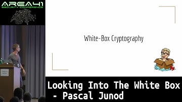 Pascal Junod Looking Into The White Box Area 41 2018