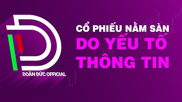 Chứng khoán hằng ngày | Nhận định thị trường chứng khoán: Cổ phiếu nằm sàn do yếu tố thông tin