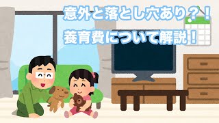 【離婚編6】養育費の請求