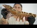 9 inch tiger prawn