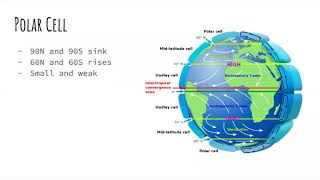 intro to Hadley cell, and the Polar Cell