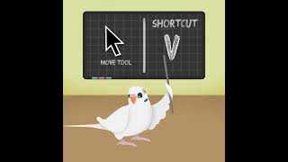 #SHORTS AFFINITY DESIGNER TOOL SHORTCUTS