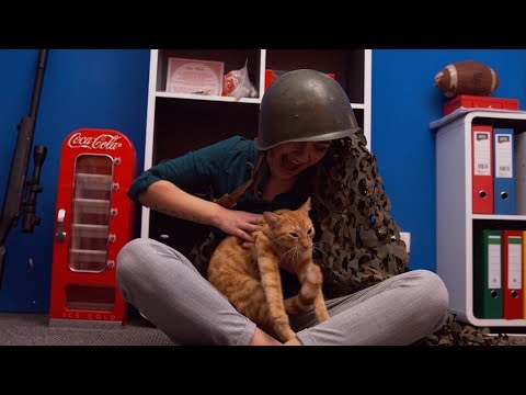 Video: Cum Să Ne împrietenim Cu O Pisică