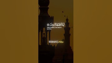 ونريد أن نمن علي الذين استضعفوا في الأرض|تلاوة إبداعية من سورة القصص للشيخ محمد صديق المنشاوي 🤍📻🍃