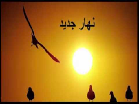 نهار جديد 30/ 8 /2015