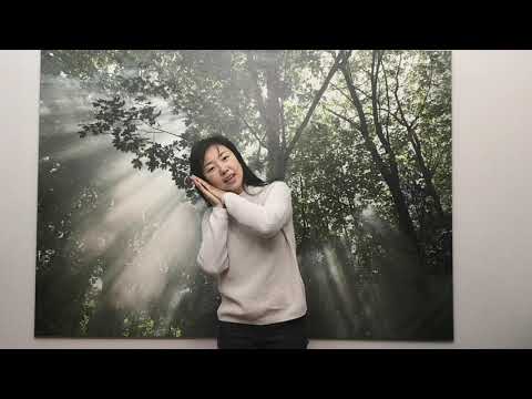 每当我心安静主前-Joy