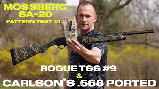 Mossberg SA-20 Pattern Test - Rogue TSS #9 & Carlson's .568 Choke