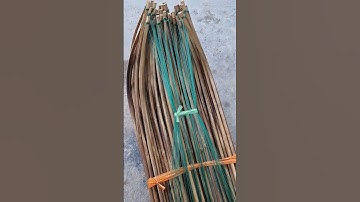 CẦN CÂU CẮM CÁ LÓC LH 0988731504