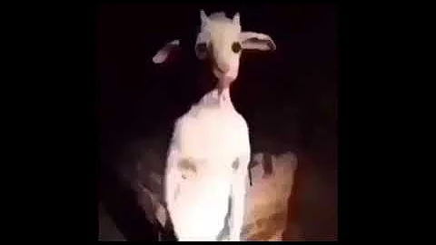 .... ø·ø ̈ùšù„ø© ... ø£øoù†ùšø© ù„ù„ø£ø·ù ø§ù„ ... ù„ùšø ̈ùšø§