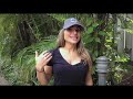 Video: Animal Outtakes - Saturday November 24, 2018