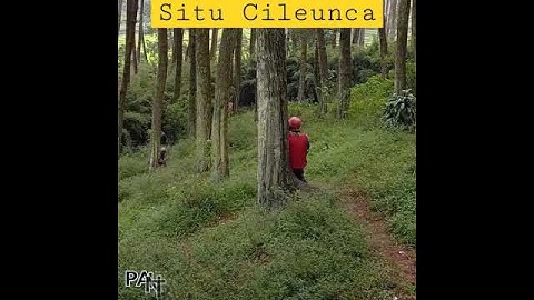 Situ Cileunca Wisata pangalengan