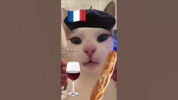 French Cat vs. Italian Cat 🇫🇷🇮🇹