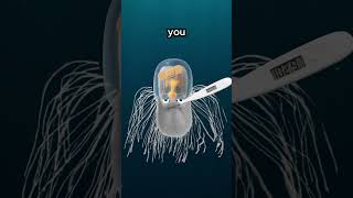 Download Lagu Animals With Depressing Lives... MP3 Download Lagu Animals With Depressing Lives... MP3