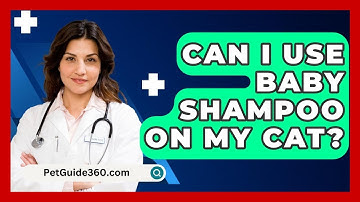 Can I Use Baby Shampoo On My Cat? - PetGuide360.com