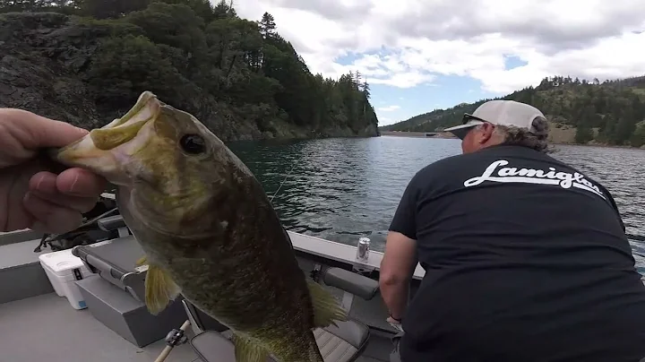 How to catch trout, small mouth bass on Ruth Lake