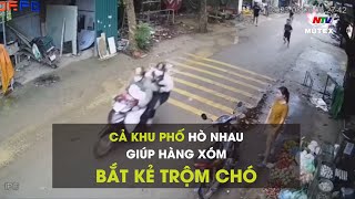 Cả khu phố hò nhau giúp hàng xóm bắt kẻ trộm chó