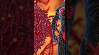 Influenza Incubation period and Disease Progression