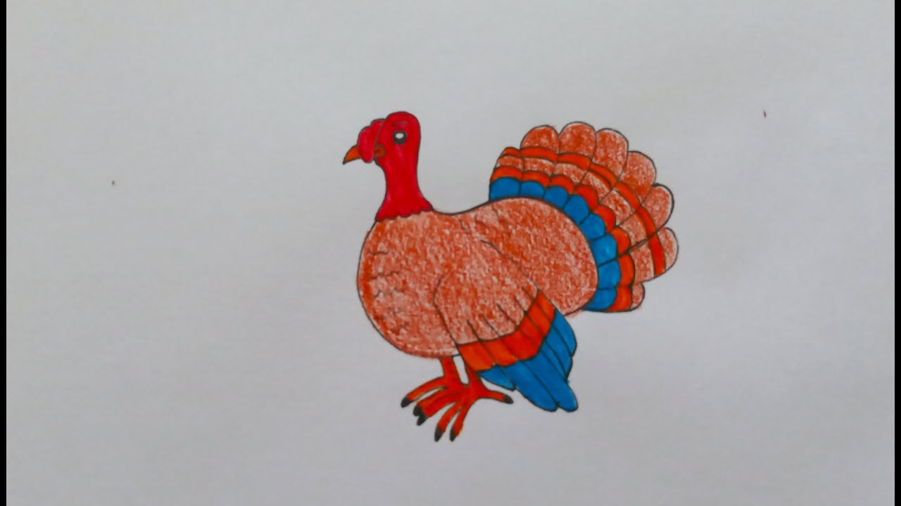 THỦ CÔNG BẰNG GIẤY CHO BÉ  Vẽ con gà siêu Kute  Draw Chicken  YouTube