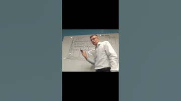 ERP система – это (часть 1) || ERP-системы и КИС (словарь) #erp #кис #pmo #sap #1с #erp-система