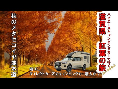 【2023　秋　最後の紅葉　編】ハイエースキャンピングカーで行く、今年最後の紅葉（メタセコイヤ並木道　～～のダイレクトカーズで新たなキャンピングカー購入か？