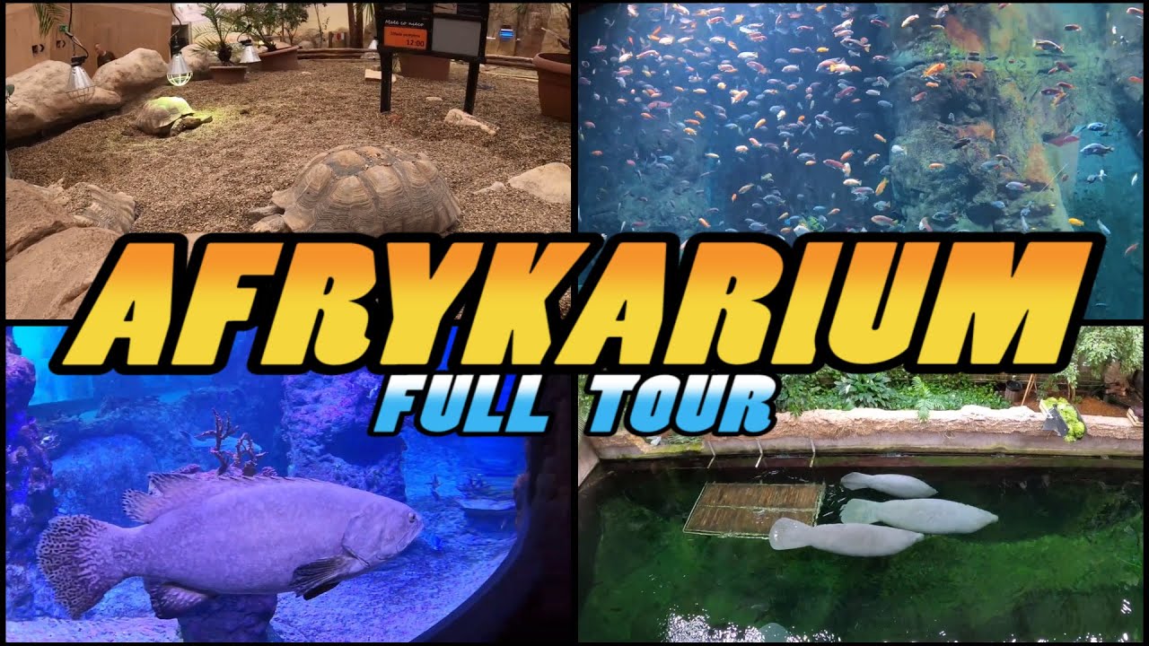 AFRYKARIUM Zoo Wrocław Walking Tour Africarium Zoo Wrocław Poland