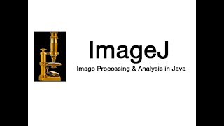 How to insert good micron marker on micrographs using ImageJ