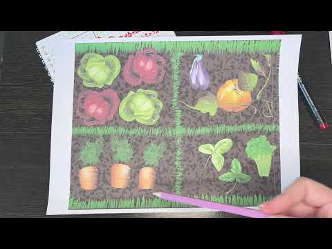 Что такое периметр и как найти периметр? Периметр прямоугольника. Периметр квадрата.