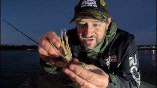 Le dernier dimanche du printemps : une mission de pêche nocturne sur la jetée nord de Maryport