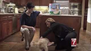 Fresh Step Introduces Organic Bacon Scented Litter