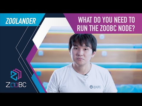 The Zoolanders: What