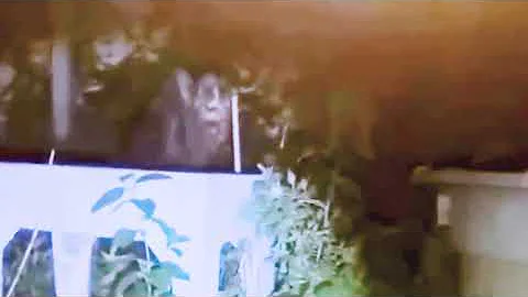 Caught on camera - Werewolf caught on backyard camera