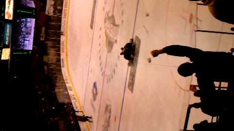 Goalie fight at at the monsters game