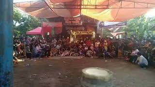 DOLAN JOGJA nonton Jathilan Turonggo Mudho Mardi Tresno live 19/01/2020 Kaliabu kidul,Gamping,Sleman