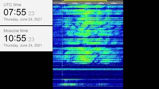 The Buzzer/UVB-76(4625Khz) June 24, 2021 07:54UTC Voice message