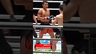 ชาติพยัคฆ์ 7 ไฟต์ไม่มีแพ้ เดือดจัด แผลโคราช ถึงน็อค #ข่าวมวย #muaythai #onechampionship ชาติพยัคฆ์ 7 ไฟต์ไม่มีแพ้ เดือดจัด แผลโคราช ถึงน็อค #ข่าวมวย #muaythai #onechampionship