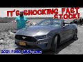 Rental Car Review: 2021 Ford Mustang is Shockingly Fast! CAR WIZARD can't believe the EcoBoost power