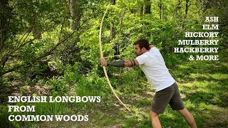 Making English Longbows from Common Woods