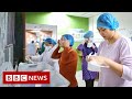 New video by BBC News on YouTube
