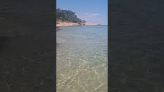 #paradise beach #thassos #greece #sea #summer #shortvideo