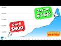 How I turned $600 into $16,013.06 in 20 days | SMALL ACCOUNT CHALLENGE