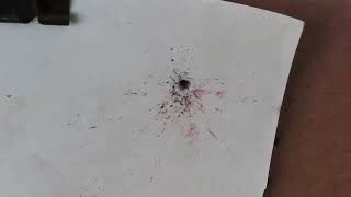 17 Caliber HM2 with CCI VNT ammo meets fly at 81 yards
