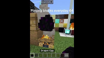 Placing blocks everyday 64 #minecraft  #shorts #blocks #minecraftshorts #fyp #fypシ #stopthemobvote